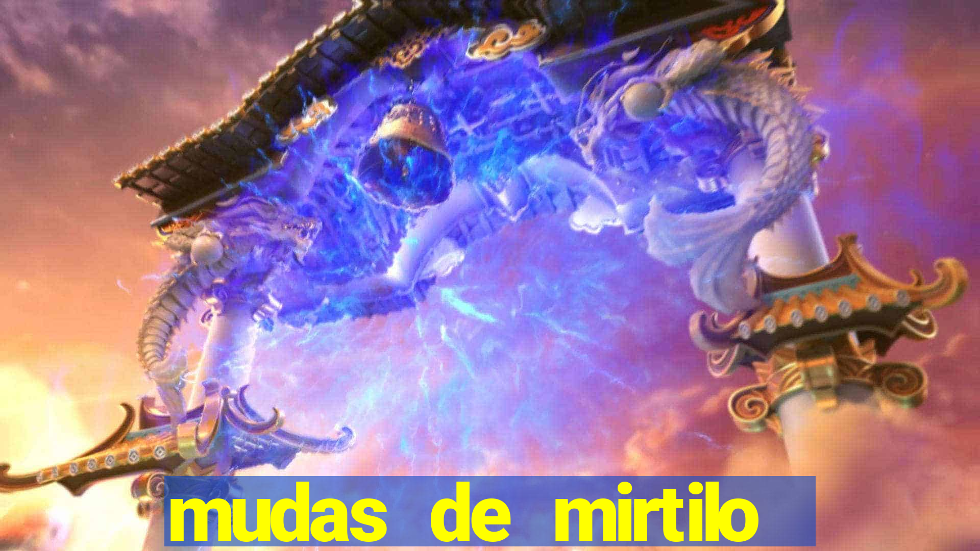 mudas de mirtilo em porto alegre